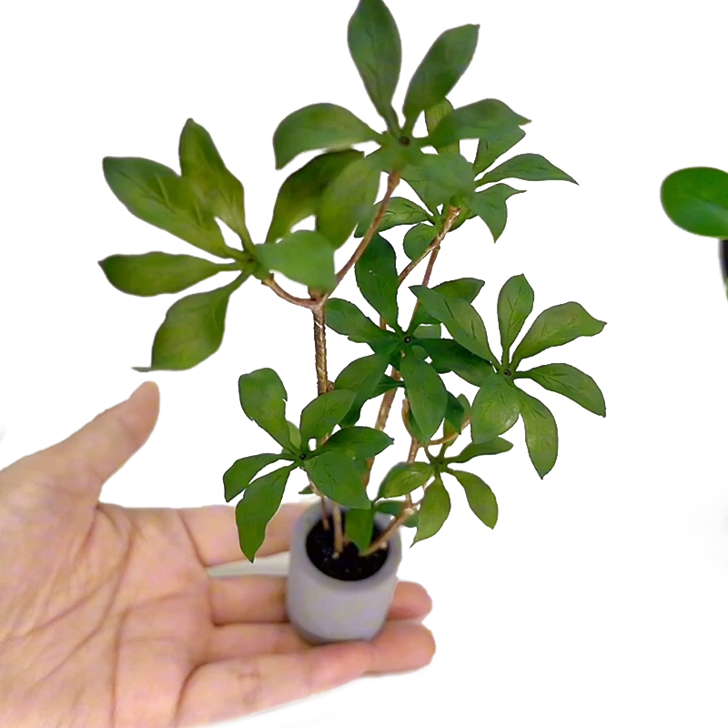 Bonsai Garden Plants - 1:6 миниатюрный кукольный домик в горшке,