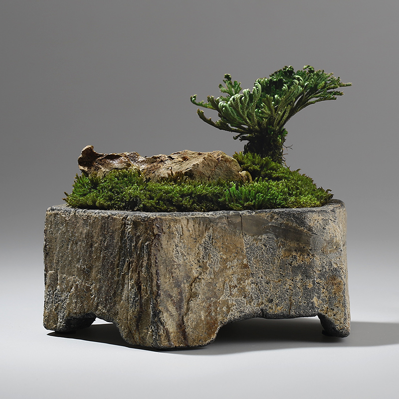 Bonsai Garden Indoor - Базальтовый цветочный горшок из натурального камня