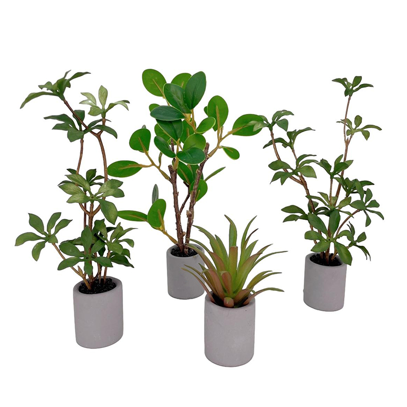 Bonsai Garden Plants - 1:6 кукольный домик, миниатюрное растение в