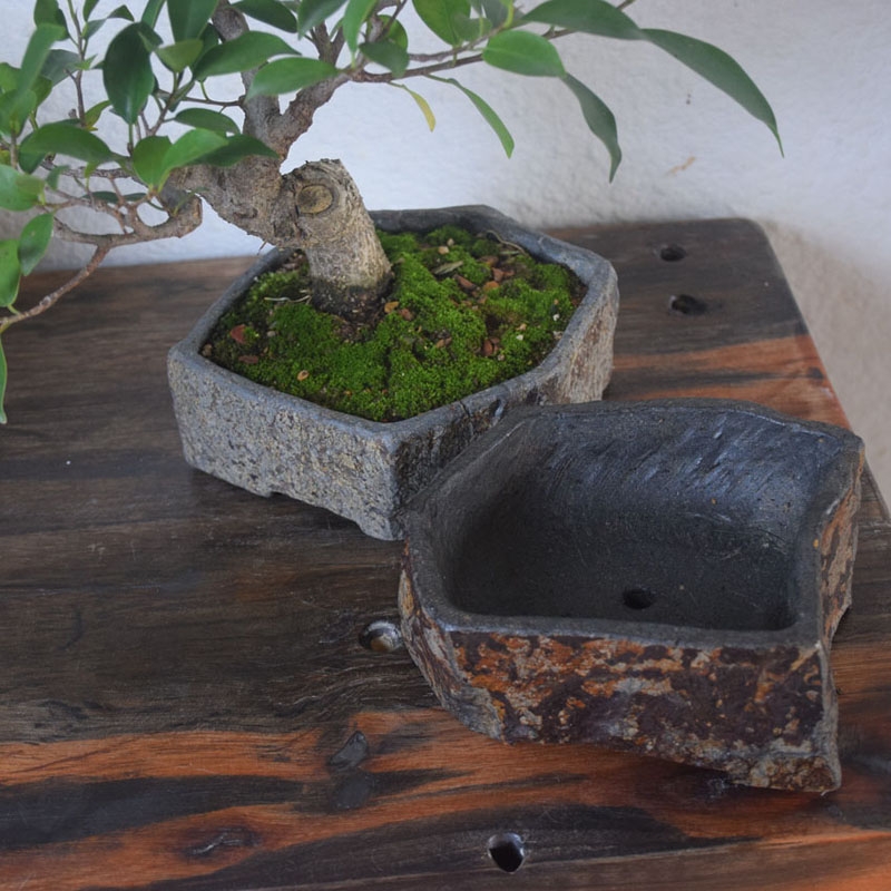 Базальтовый цветочный горшок и – обзор и цена Bonsai Garden Indoor