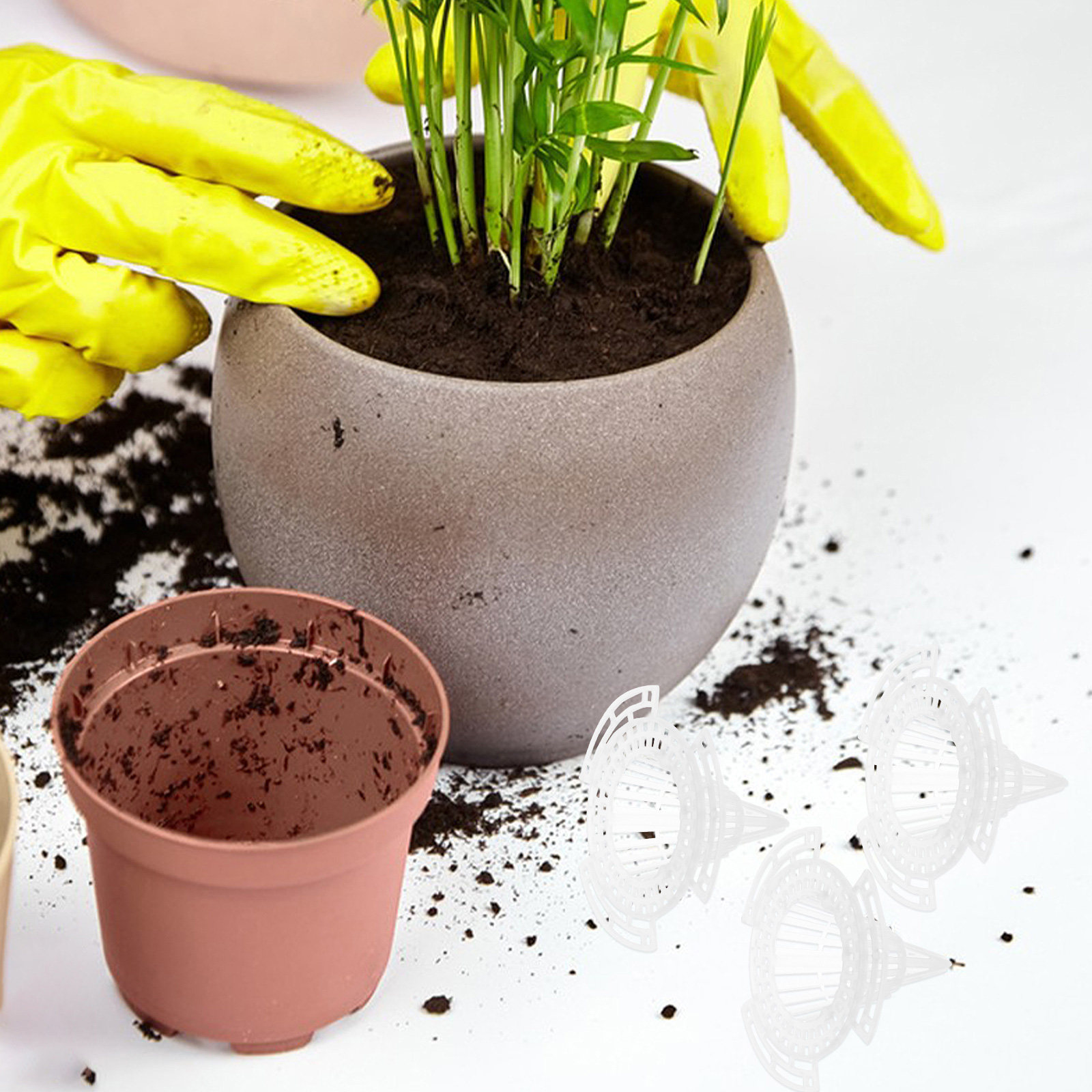 20 шт. конических сетчатых про – обзор и цена Bonsai Garden And Cafe