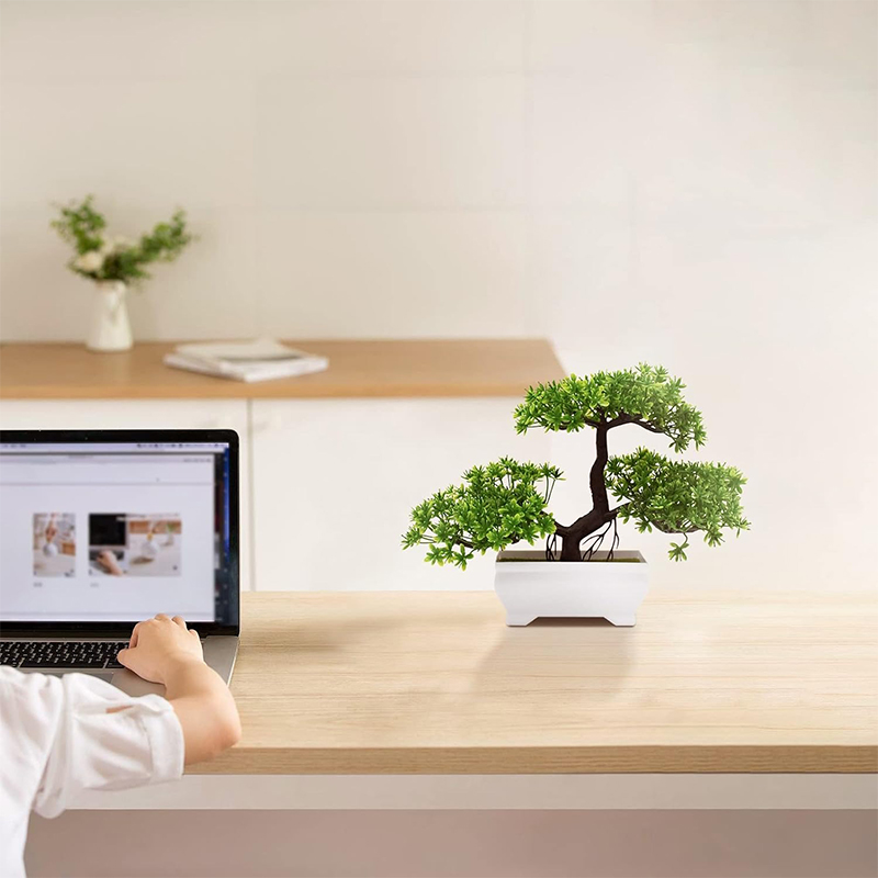 Искусственный бонсай, пластико – обзор и цена Bonsai Garden Indoor